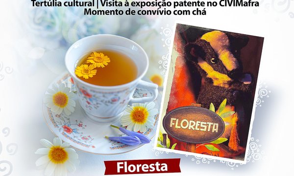 rede_o_cha_das_cinco_ago24