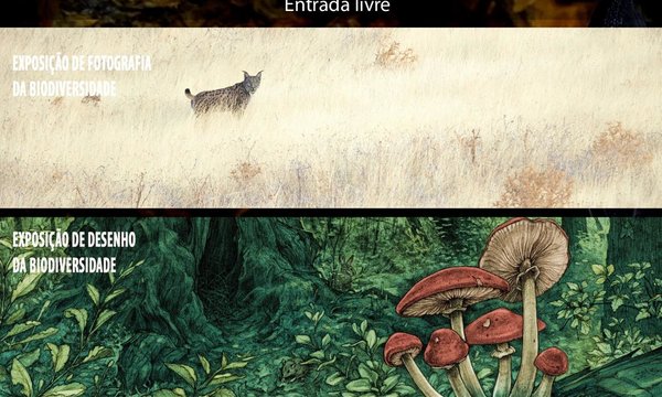 exposicao_fiin_001