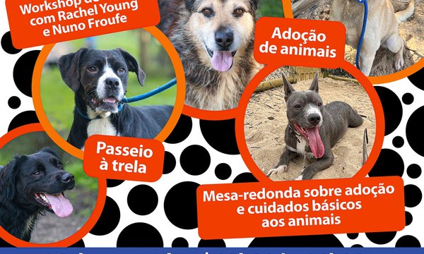 rede_dia_do_animal