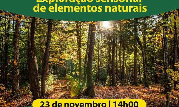 rede_floresta_autoctone_out2024