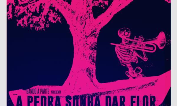 5_a_pedra_sonha_dar_flor___25_de_novembro