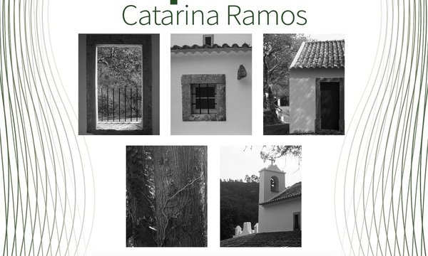 rede_exp__go_arte_catarina_ramos
