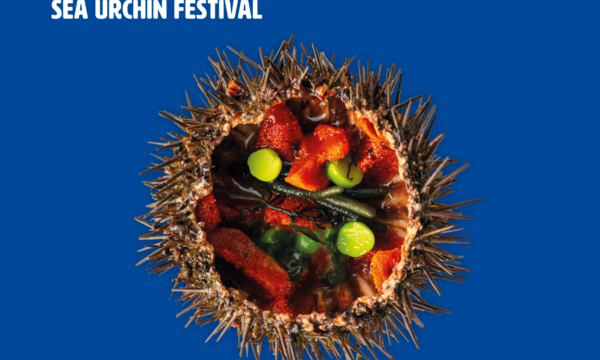 post_feed_instagram_festivalourico_2025_af