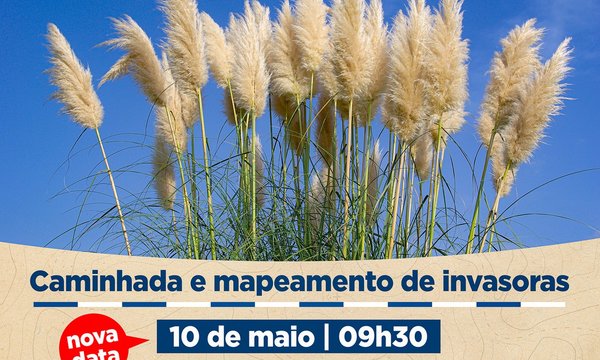 rede_cidadao_vigilante_invasoras