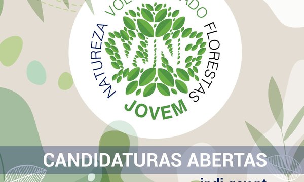 2025_1_redes_sociais_vjnf_2023