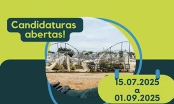 imagem3