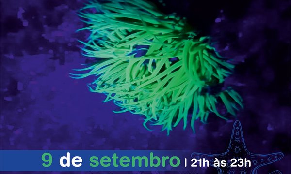 visita_guiada_noturna_zona_entremares