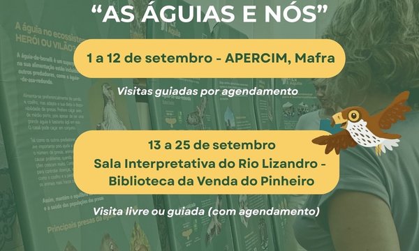 cartaz_mmafra_20250901_v2__1_