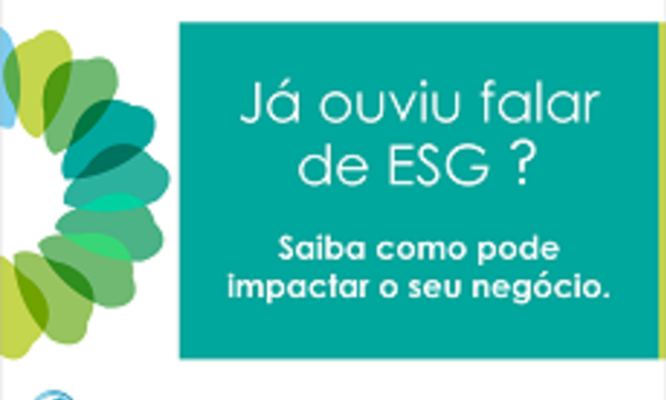 imagem4