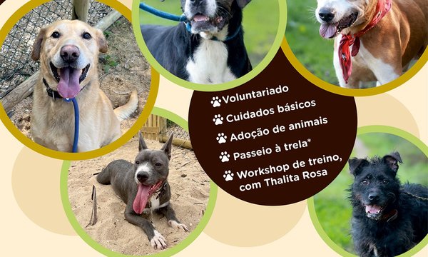 dia_aberto_no_canil_redes_sociais