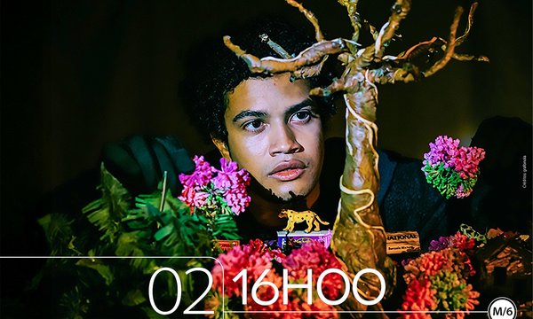 rede__jacaranda_2025_v3