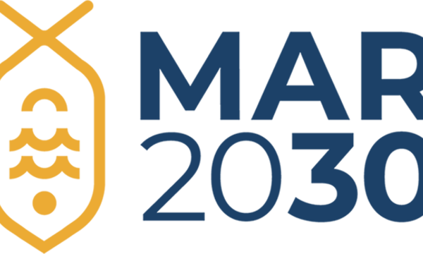 pt2030_destaquemar2030