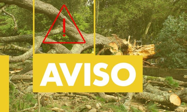 621998541_1339258904909425_1667756362462758999_n