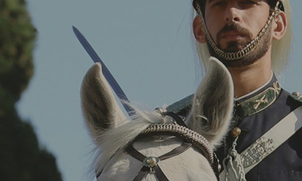 transitocondicionado_01