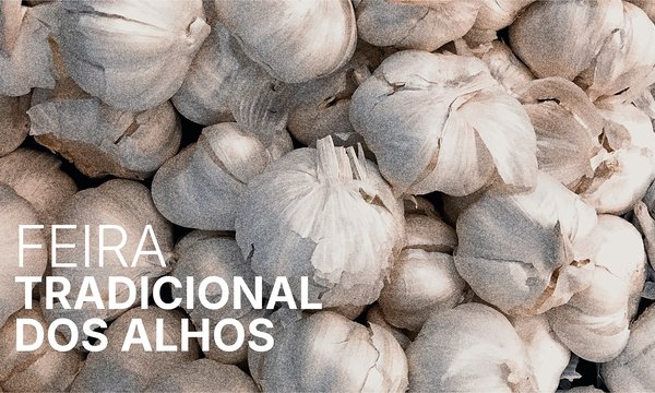 banner_feira_dos_alhos