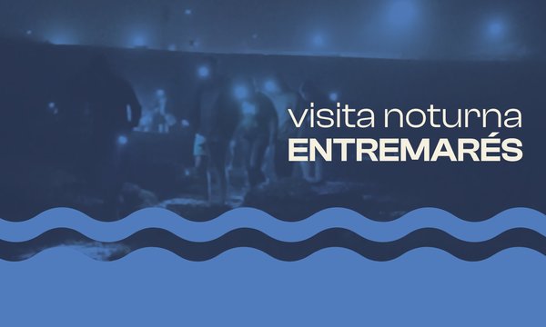 header_entremares