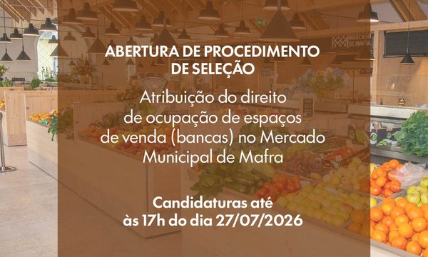 mercado_01