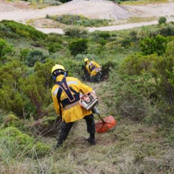 Defesa da Floresta Contra Incêndios