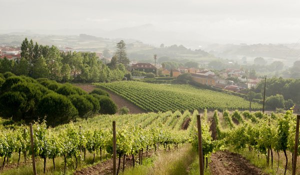 Quinta de Sant’Ana