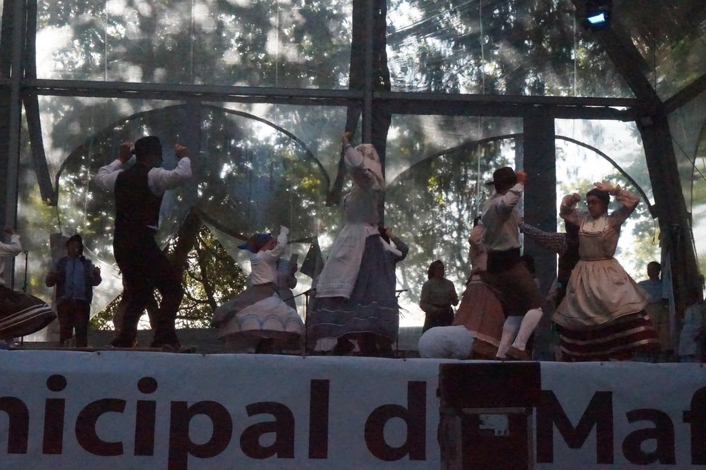 Grupo de Danças e Cantares de Sto Estêvão das Galés (1)