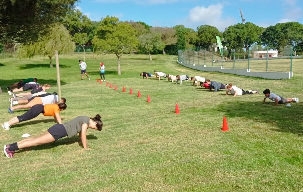 fit 7