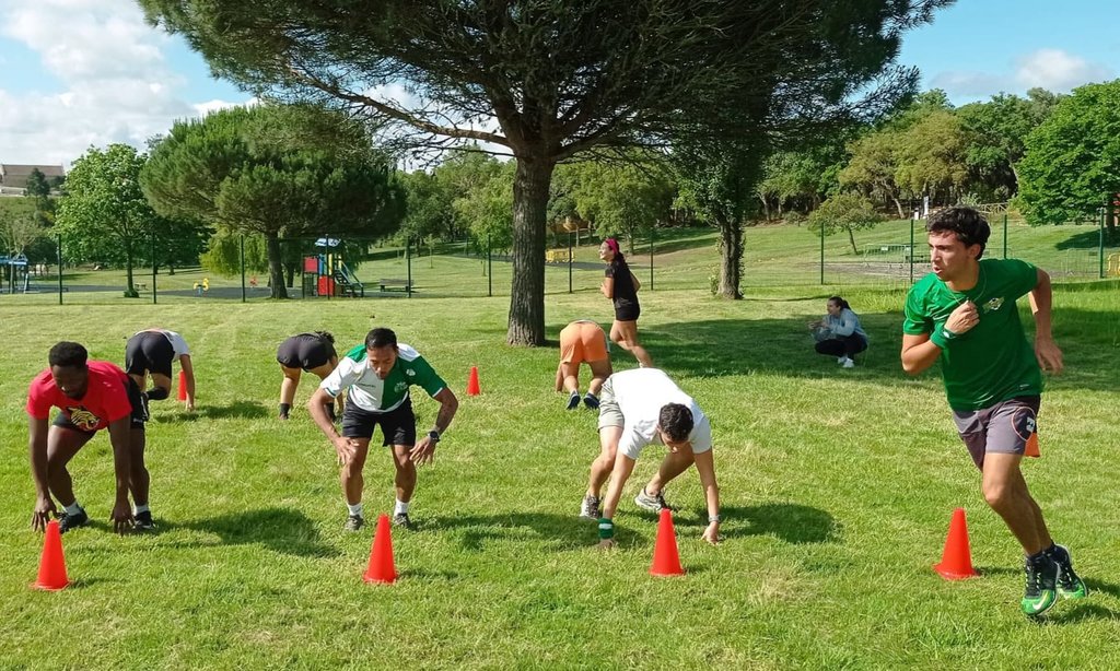 fit 3