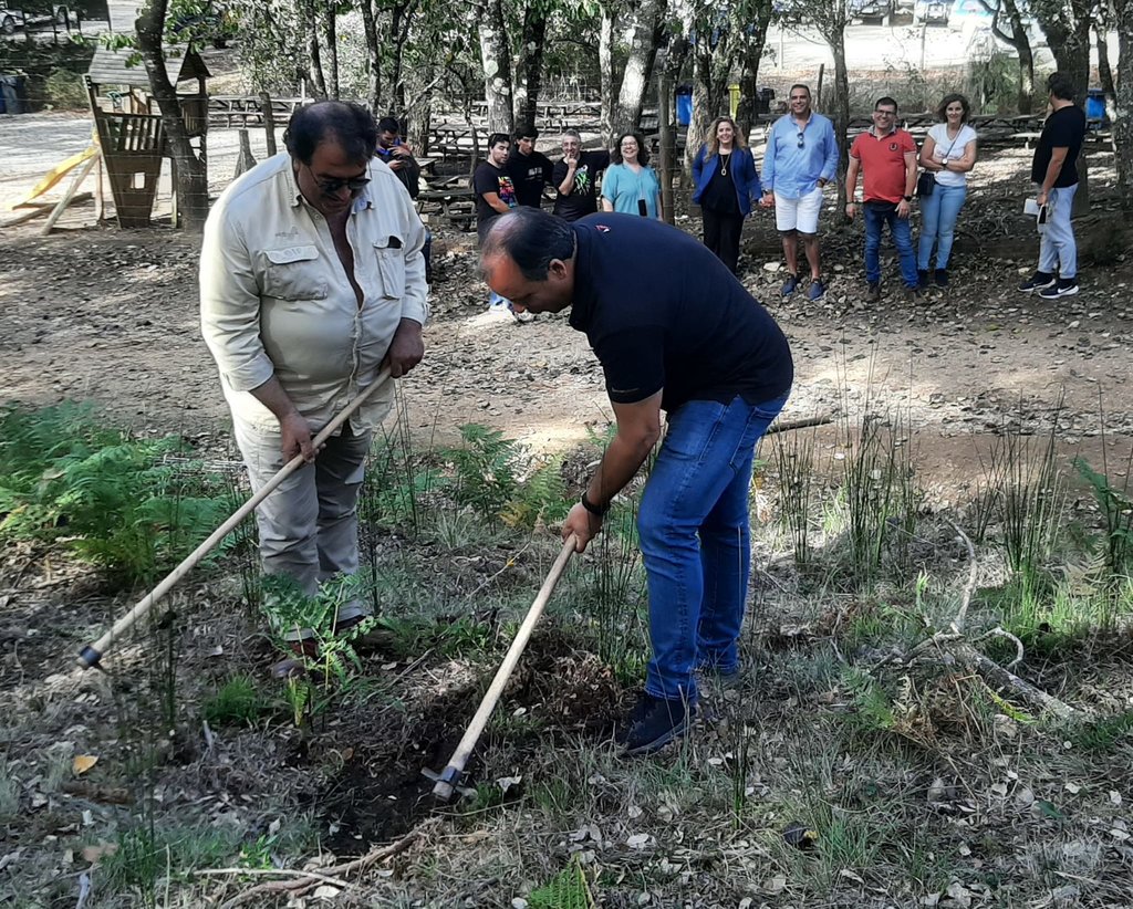 461295330_953742289895570_5832693460986039956_n