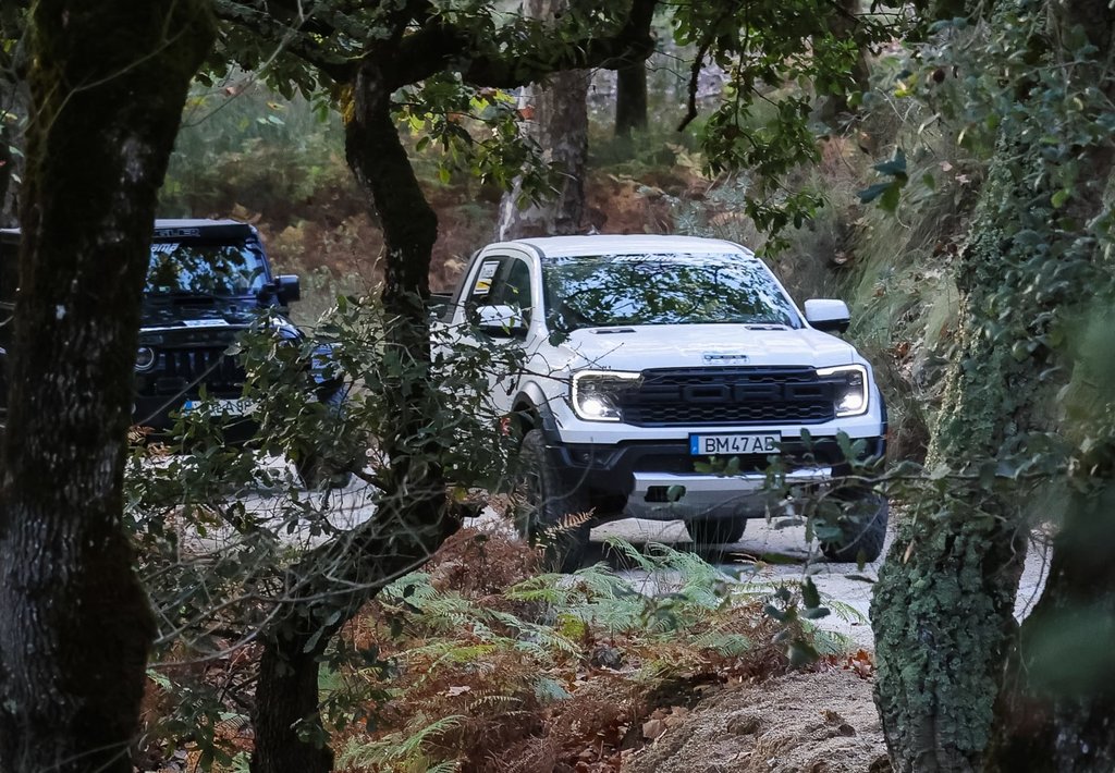 461425668_953749233228209_6943463208726044917_n