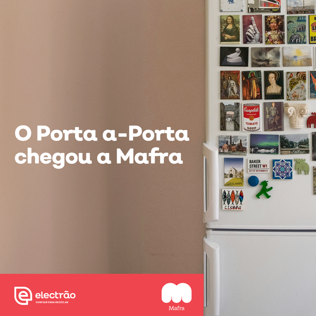 electrao_nov_pap_mafra_01