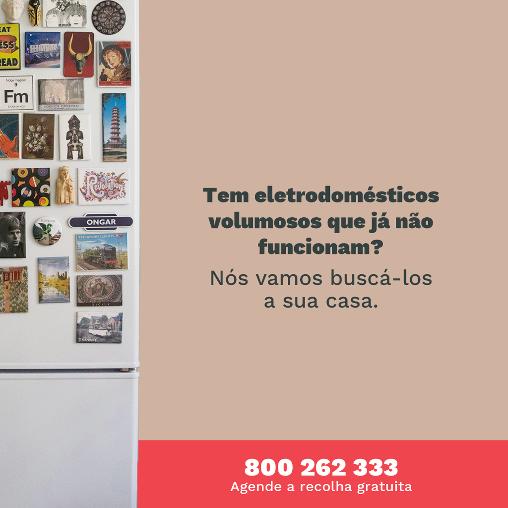 electrao_nov_pap_mafra_fb_02_02