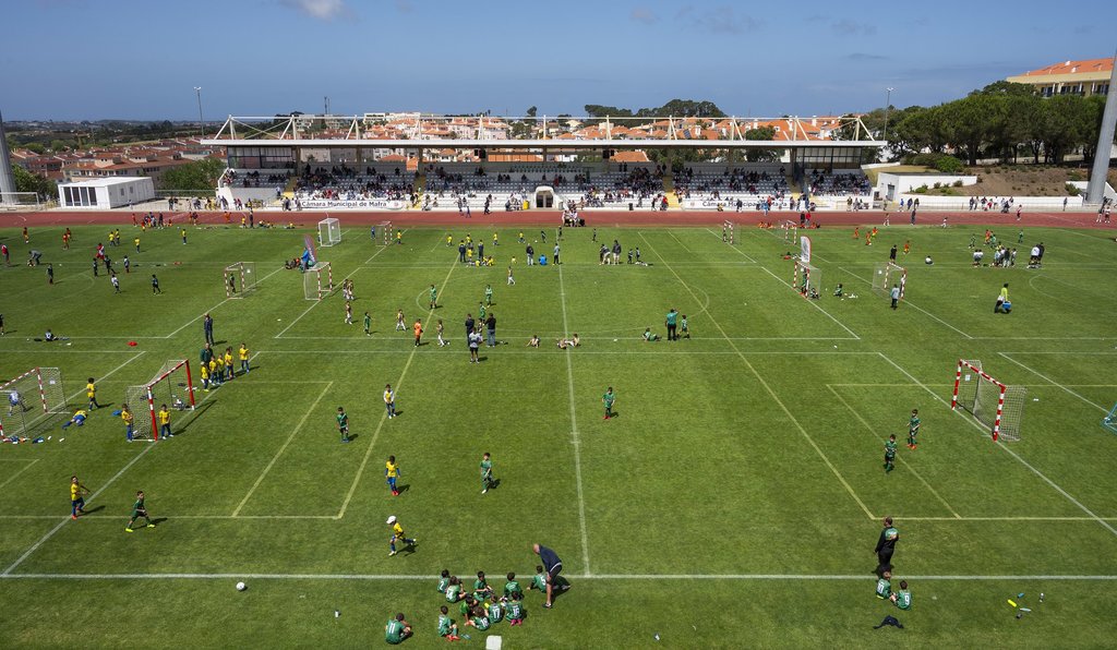 PDM_estadio 1