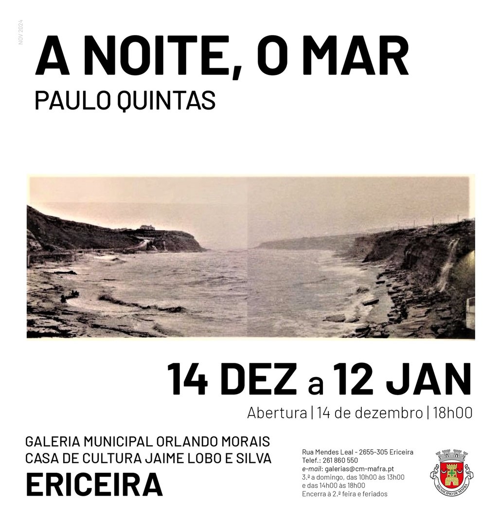 rede_exposicao_paulo_quintas