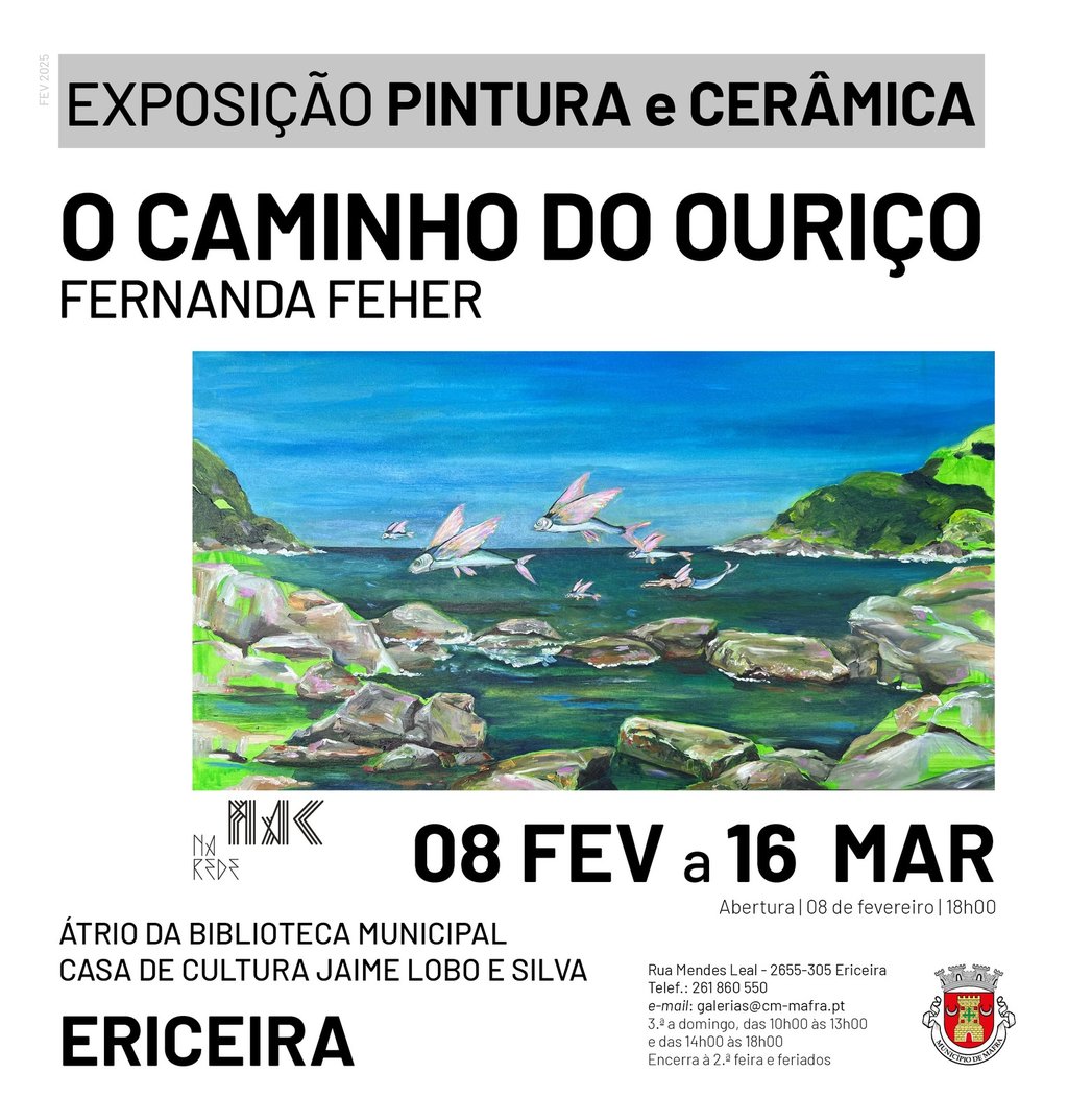 rede_exposicao_fernanda_feher_v2