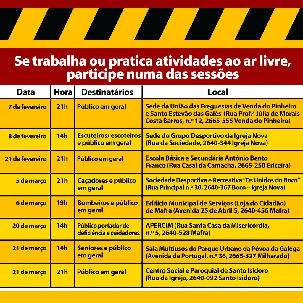 2___rede_b_vespa_asiatica_2025