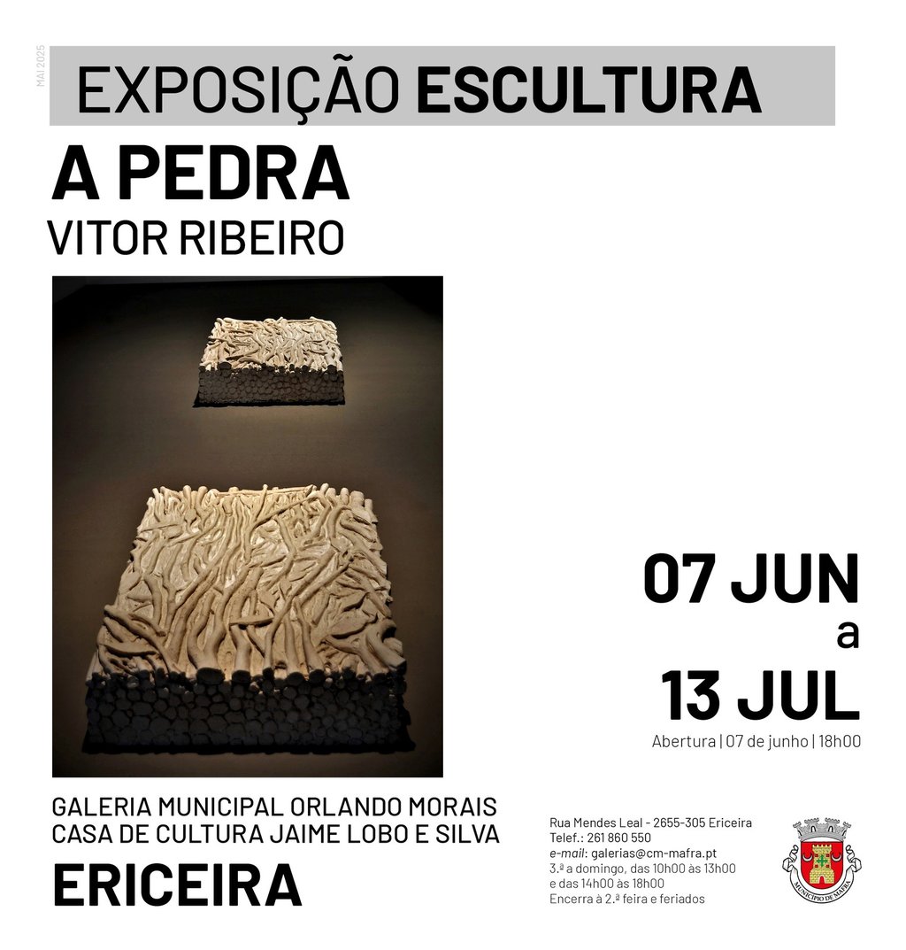 rede_exposicao_vitor_ribeiro