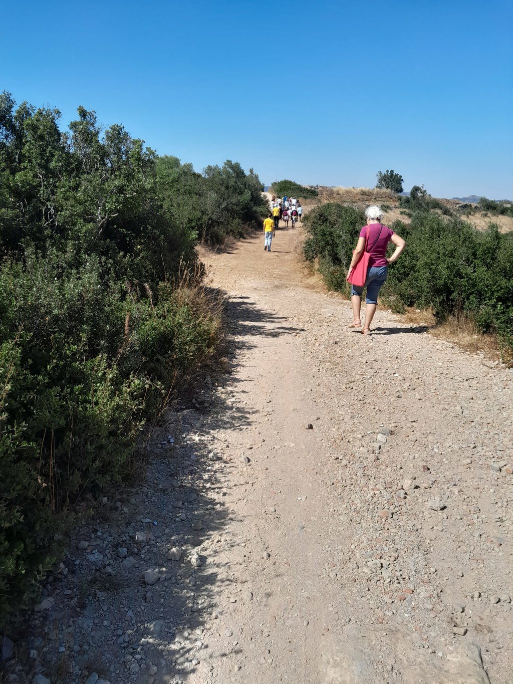IMG-20250809-WA0020