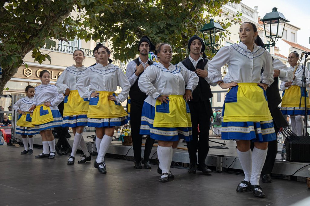 5 - Flores