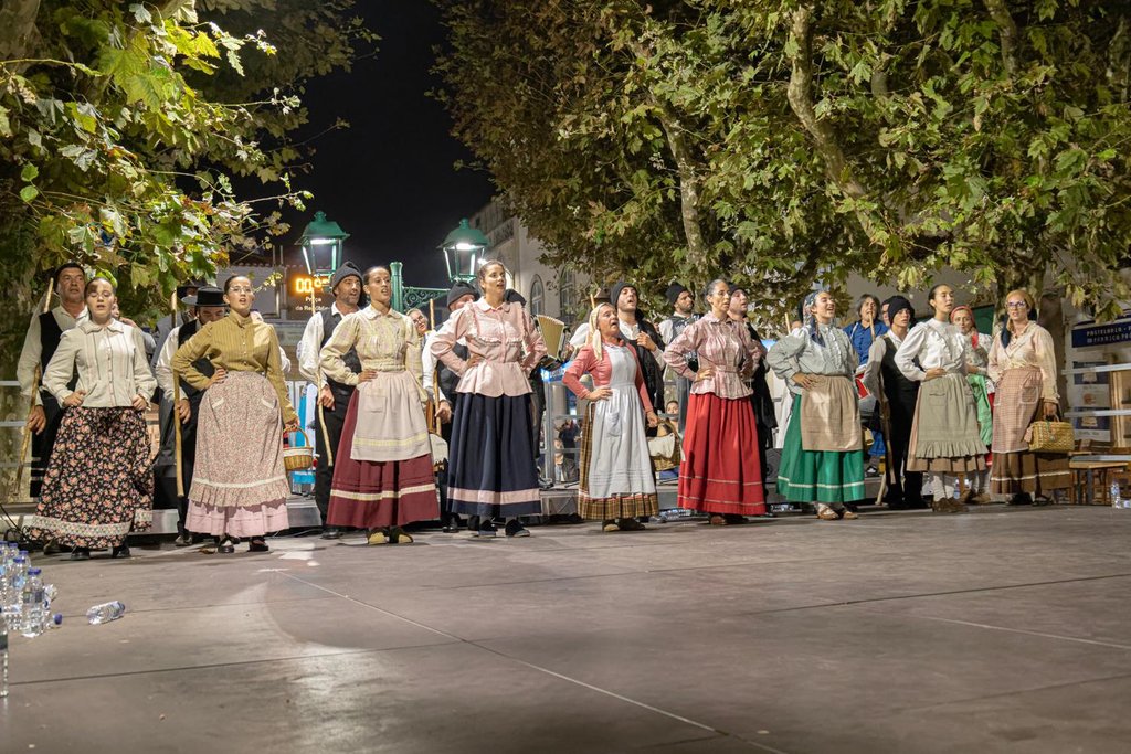 16 - morangueiras