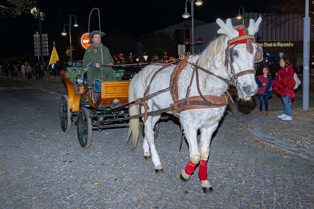 Vila_Natal_Mafra_006