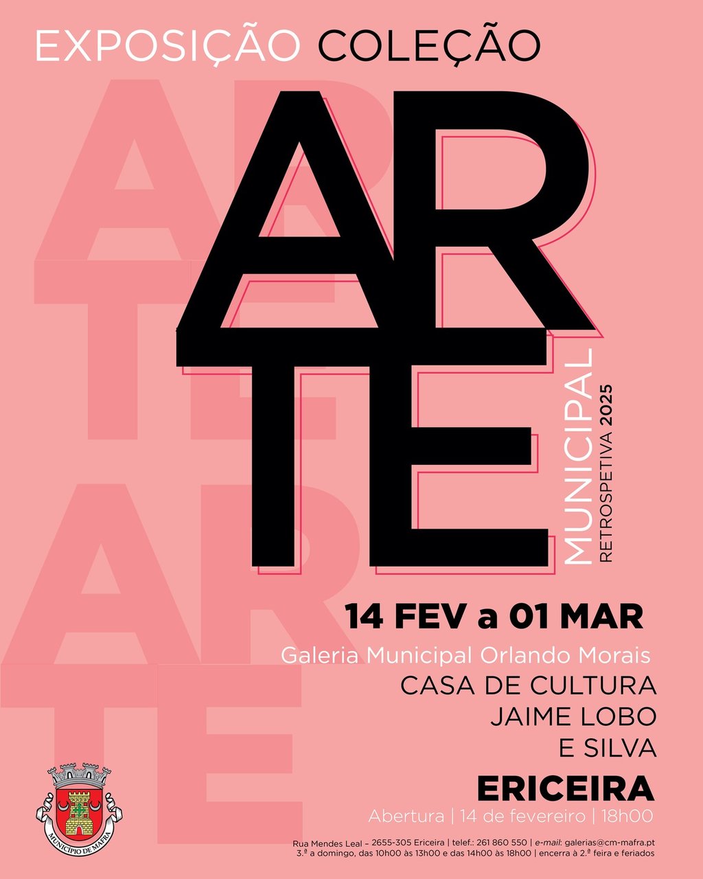 rede_exposicao_retrospetiva_arte_municipal_14fev