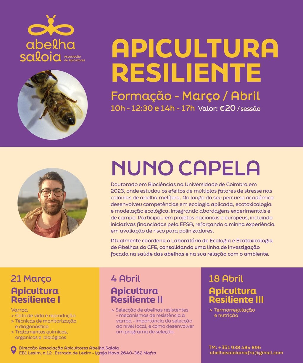 apiculturaresiliente_cartaz_2