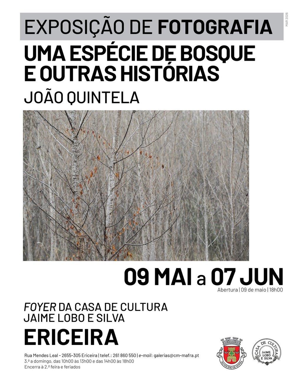 rede_exposicao___joao_quintela