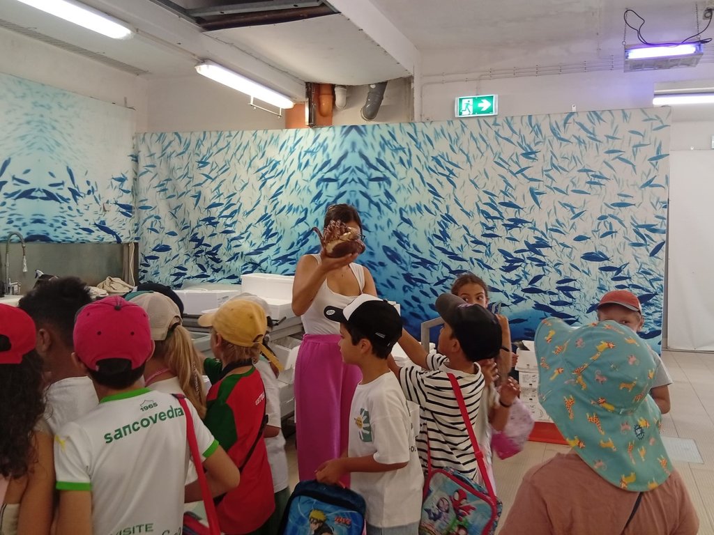 IMG-20260616-WA0049