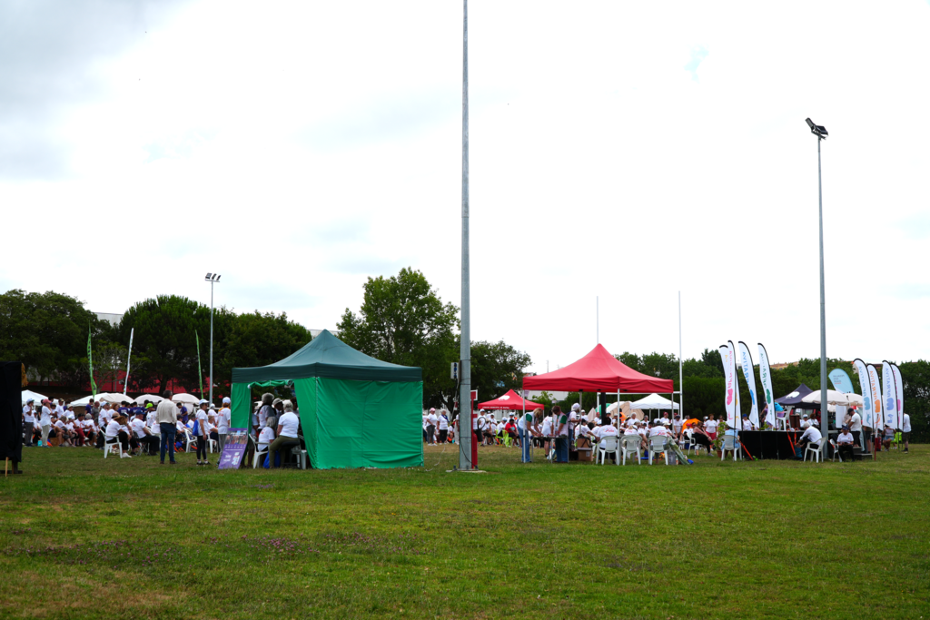 DSC03051