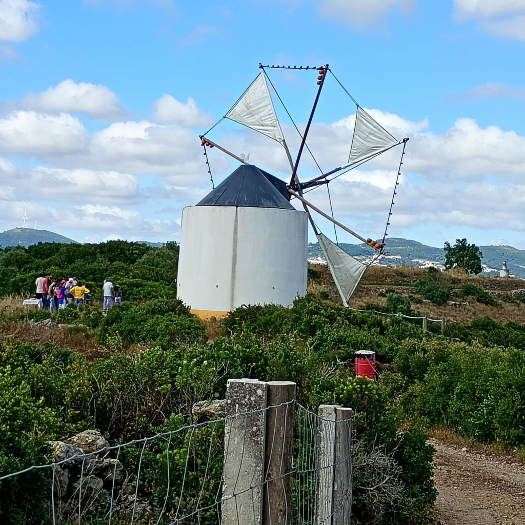 IMG-20260629-WA0009(1)