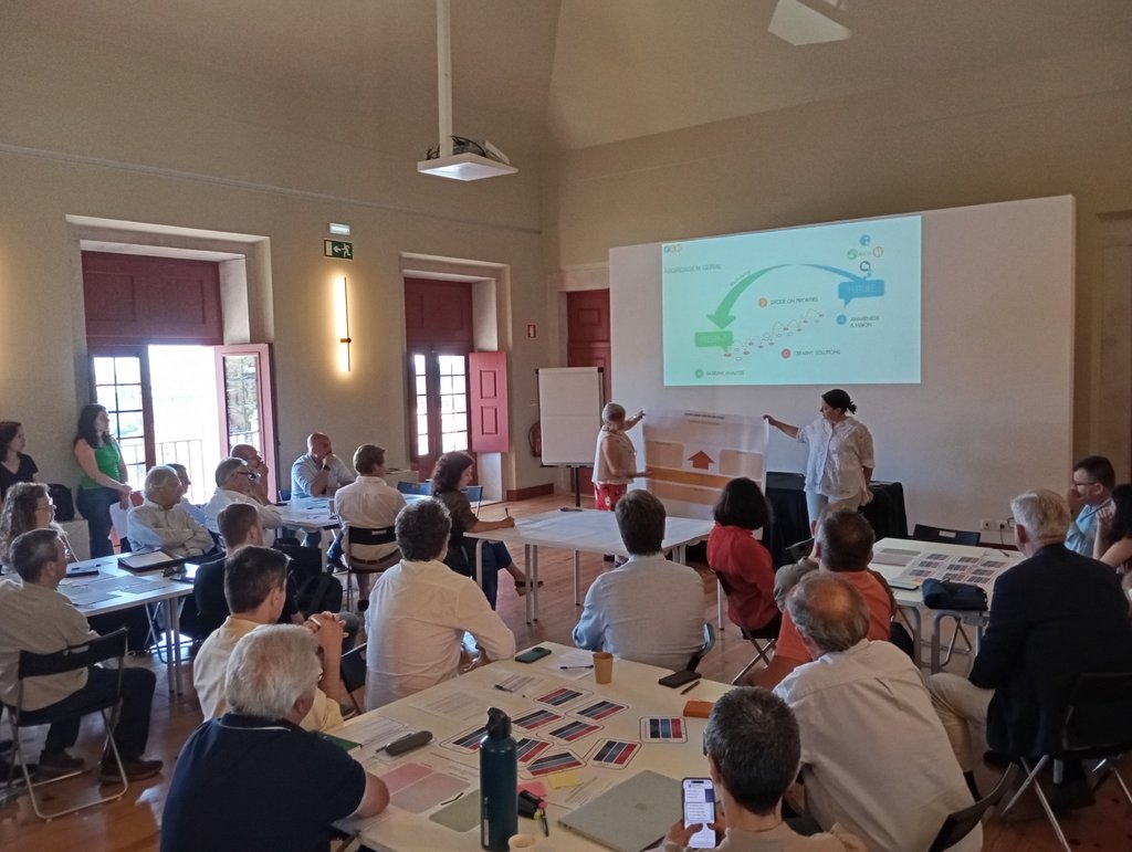 pdmmafra_2rev_pp_workshop_29052026_2
