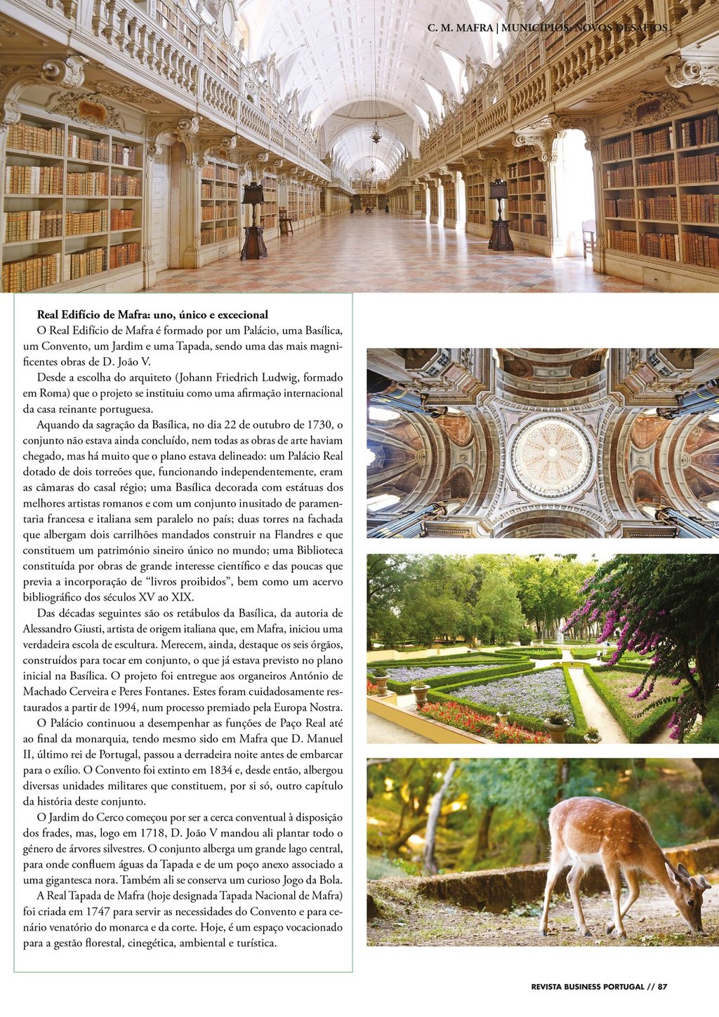 cm_mafra_3