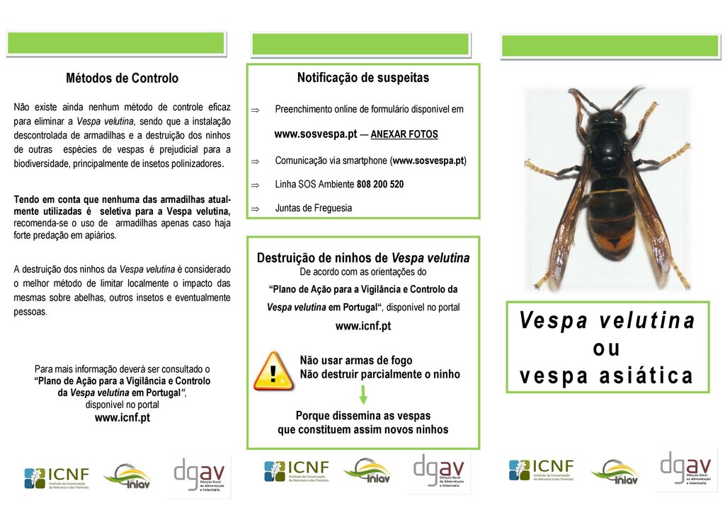 vespa_anexo_vi_folheto_divulgativo_001