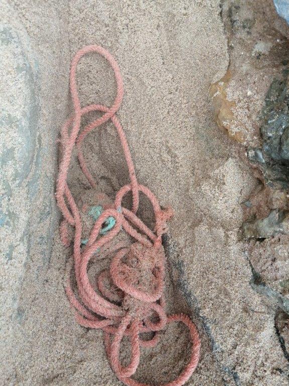 DILC 2020-Praia dos Pescadores_4