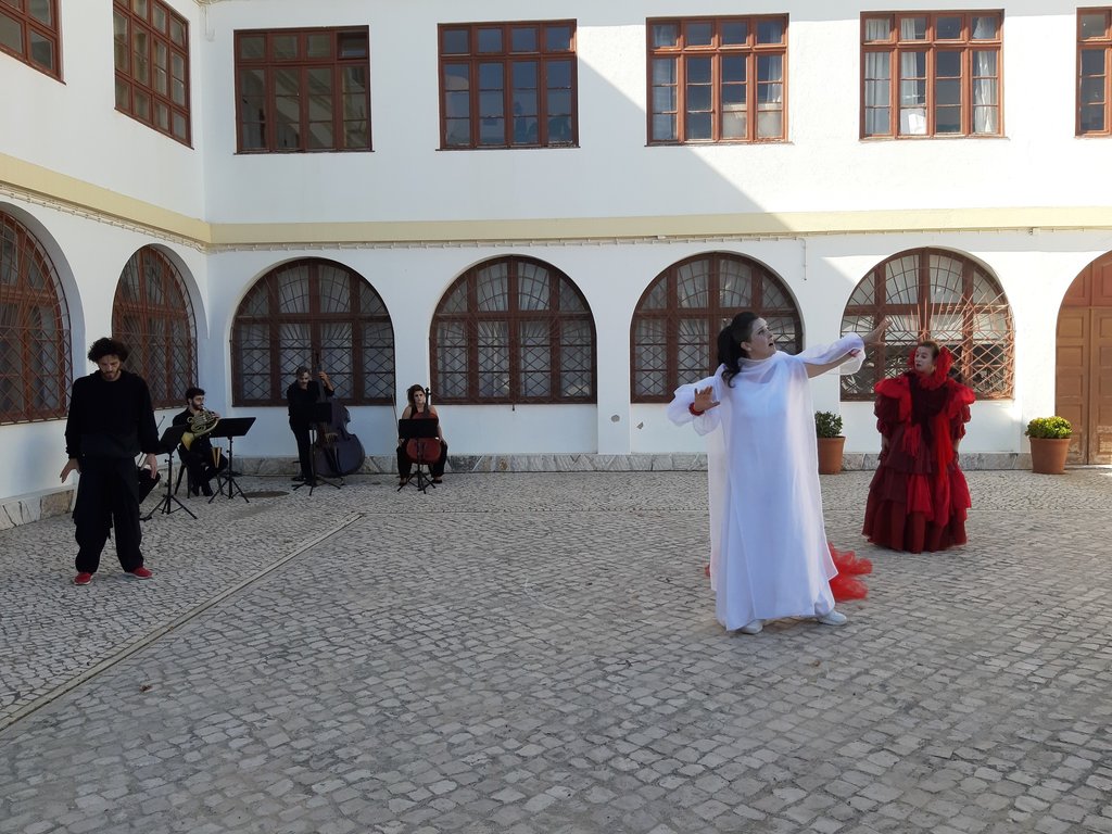 o_regresso_da_norma__35_